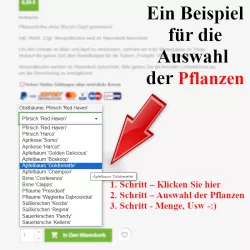 Zur Auswahl der Pflanzenhöhe - Heckenpflanzen Mencel