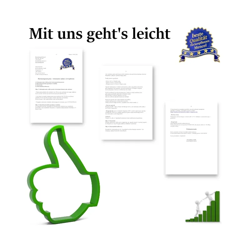 Diagnose - Mit uns geht's leicht - Heckenpflanzen Mencel Wulkau