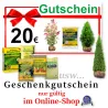 Gutschein nur gültig im Online-Shop Heckenpflaznen Mencel