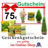 Gutschein 75 € nur gültig im Online-Shop Heckenpflanzen Mencel