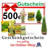 Gutschein 500 € nur gültig im Online-Shop Heckenpflanzen Mencel