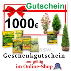 Gutschein – Online-Shop 1000 €