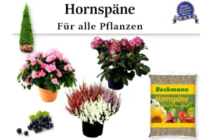 Hornspäne, Organische Dünger.