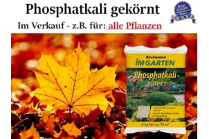 Phosphatkali, mineralischer Spezialdünger, organisch-mineralisch