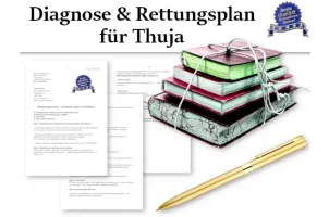 Diagnose & Rettungsplan für Thuja
