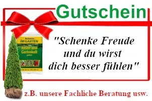 Geschenkgutschein – flexibel einlösbar für Einkäufe & Services