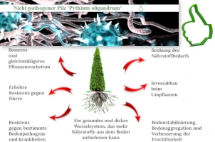 Biofungizid gegen Schadpilze?