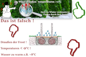 Thujen Pflege - vor und im Winter?